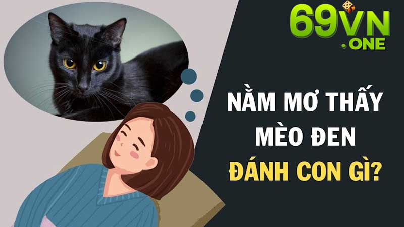 mơ thấy mèo đen đánh con gì